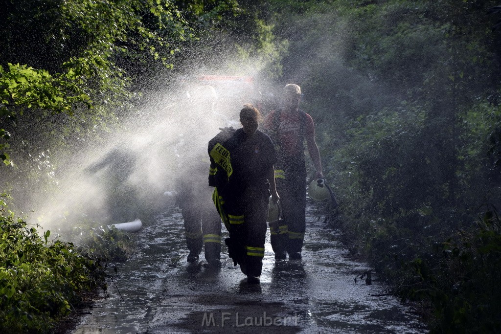 Waldbrand Koeln Hoehenhaus Hoehenfelder Mauspfad P186.JPG - Miklos Laubert